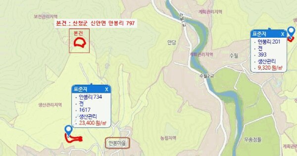 경상남도 산청군 신안면 안봉리 797  미지정 경매 물건 이미지