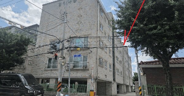 대전광역시 서구 용문동 282-3 1동 2층202호 미지정 경매 물건 이미지