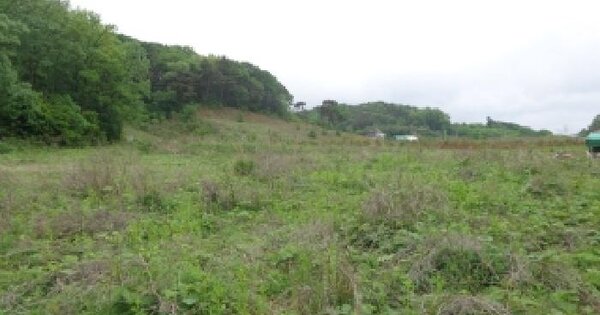 충청남도 서산시 팔봉면 흑석리 354-1 전 경매 물건 이미지