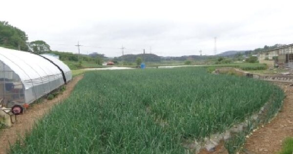 충청남도 서산시 팔봉면 흑석리 364 전 경매 물건 이미지