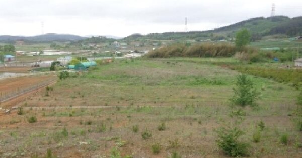충청남도 서산시 팔봉면 흑석리 375-1 전 경매 물건 이미지