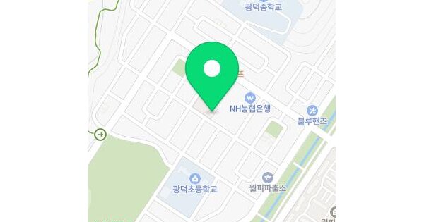 경기도 안산시 상록구 월피동 508-4 해오름아파트  10층1003호 미지정 경매 물건 이미지