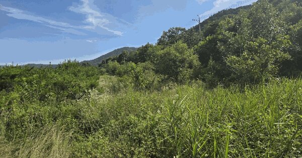 경상북도 성주군 벽진면 외기리 53  미지정 경매 물건 이미지