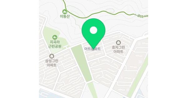 경상북도 포항시 남구 지곡동 472 효자그린 102동 16층 1604호 미지정 경매 물건 이미지