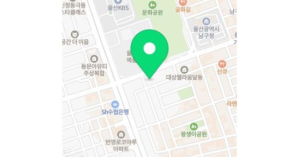 울산광역시 남구 달동 1326-2 동산오피스텔  15층1502호 미지정 경매 물건 이미지