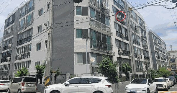 대구광역시 남구 대명동 3051-16 대명동금오아파트  4층503호 미지정 경매 물건 이미지