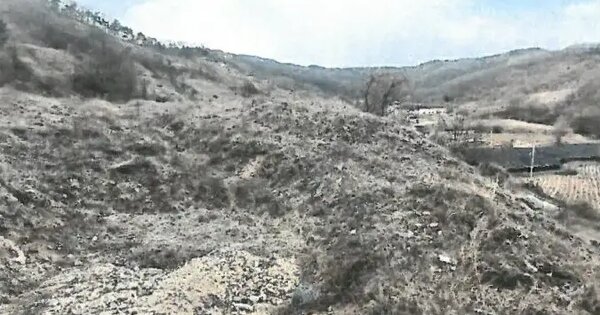 충청북도 괴산군 괴산읍 신기리 산18-26 임야 경매 물건 이미지