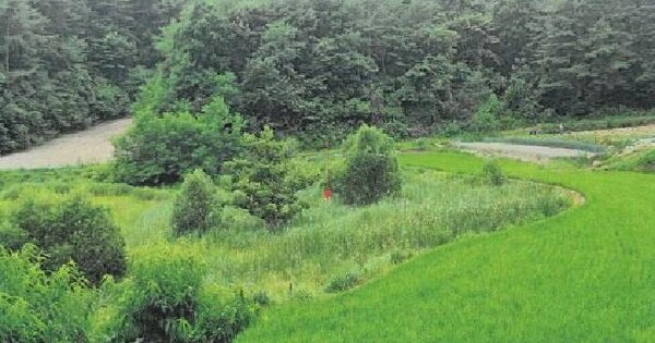 강원특별자치도 강릉시 대전동 627  미지정 경매 물건 이미지