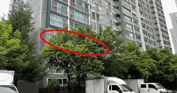 경기도 안산시 상록구 사동 1512 안산고잔6차푸르지오 610동 3층304호 미지정 경매 물건 이미지