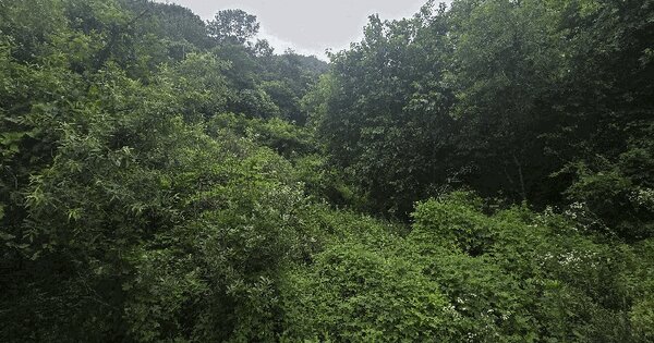 울산광역시 울주군 언양읍 반천리 21-1  미지정 경매 물건 이미지