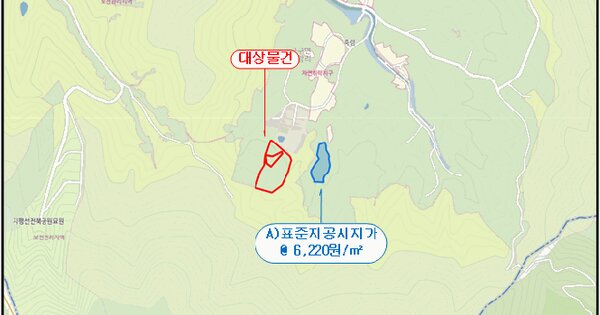 전북특별자치도 김제시 금구면 선암리 산214  미지정 경매 물건 이미지