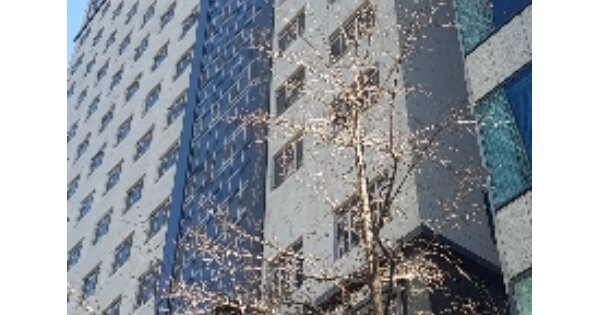 서울 강남구 역삼동 OOOOOO OOOOOO OOOOOOOOOOOOOO 근린상가 경매 물건 이미지