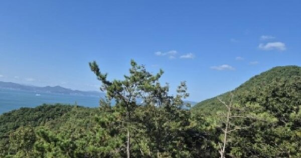 부산광역시 강서구 천성동 279 답 경매 물건 이미지