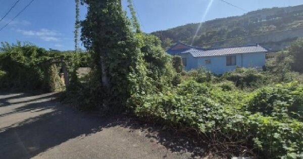 부산광역시 강서구 천성동 698 대지 경매 물건 이미지