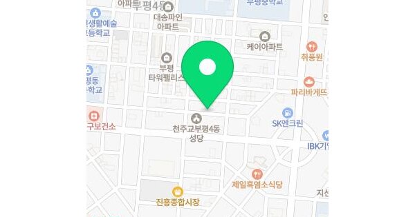 인천광역시 부평구 부평동 399-20 주연홈타운  3층303호 미지정 경매 물건 이미지