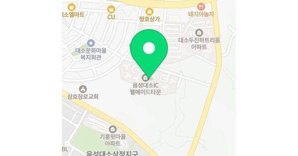 충청북도 음성군 대소읍 태생리 765 대소웰메이드타운 103동 8층803호 미지정 경매 물건 이미지