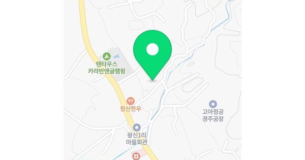 경상북도 경주시 강동면 왕신리 676  미지정 경매 물건 이미지