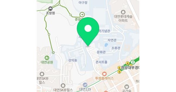 부산광역시 남구 대연동 314-10  미지정 경매 물건 이미지