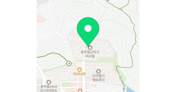 전남광주통합특별시 동구 용산동 662 광주용산지구2블럭계룡리슈빌더포레스트아파트 105동 2층201호 미지정 경매 물건 이미지
