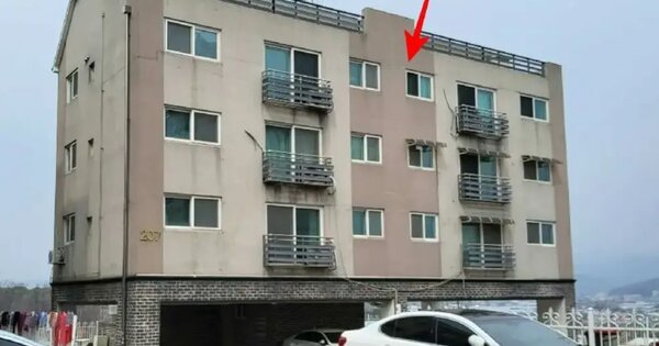 경기도 고양시 일산동구 사리현동 441-13  3층301호 다세대주택 경매 물건 이미지