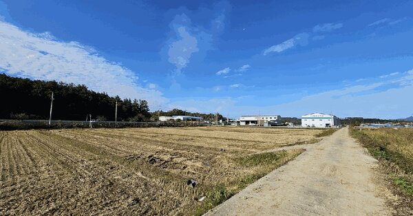 전남광주통합특별시 나주시 문평면 옥당리 1275-6 답 경매 물건 이미지