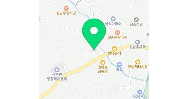 충청북도 보은군 삼승면 원남리 246  미지정 경매 물건 이미지