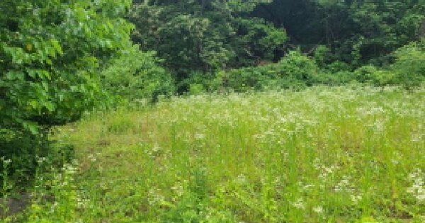 경기도 광주시 남한산성면 하번천리 392 전 경매 물건 이미지