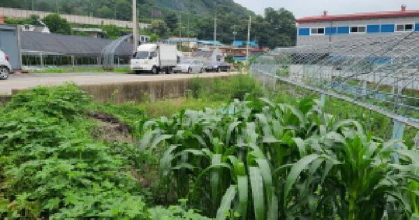 경기도 광주시 남한산성면 하번천리 산14-11 임야 경매 물건 이미지