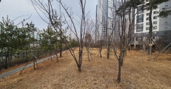 경기도 평택시 지제동 599-1 답 경매 물건 이미지