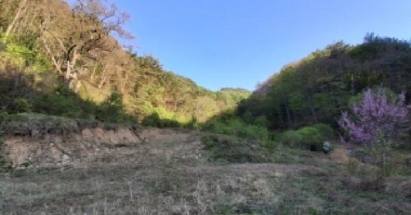 강원특별자치도 인제군 남면 수산리 815 전 경매 물건 이미지