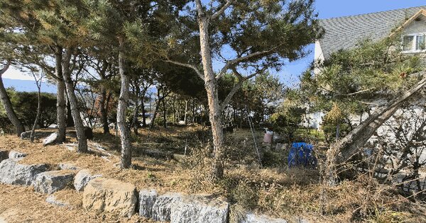 강원특별자치도 양구군 해안면 이현리 330 답 경매 물건 이미지