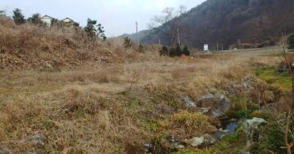충청남도 금산군 진산면 엄정리 312-1 전 경매 물건 이미지