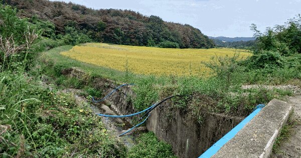 경상북도 포항시 남구 장기면 정천리 409 답 경매 물건 이미지