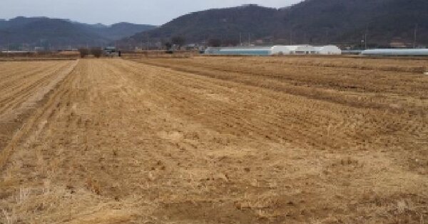 경상남도 밀양시 부북면 청운리 477-7 답 경매 물건 이미지