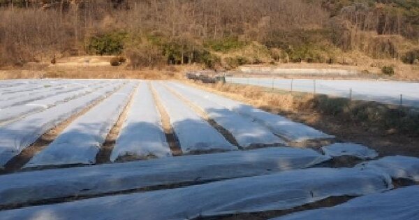 경상남도 창녕군 장마면 초곡리 848 답 경매 물건 이미지