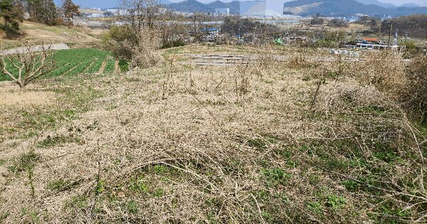 경상남도 창녕군 대합면 목단리 302-1 전 경매 물건 이미지