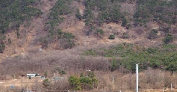 경상남도 창녕군 성산면 대산리 산173-2 임야 경매 물건 이미지