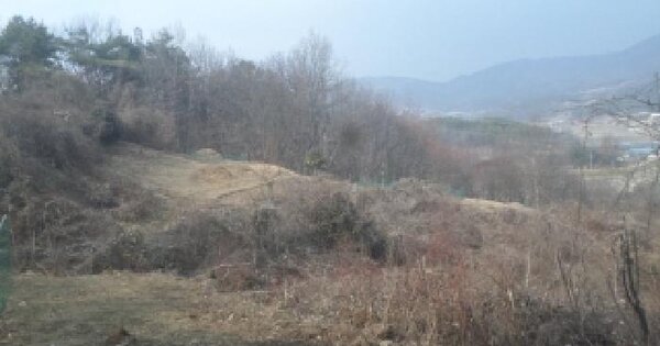 전북특별자치도 완주군 구이면 평촌리 산265 임야 경매 물건 이미지