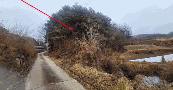 전북특별자치도 무주군 무풍면 금평리 산58 임야 경매 물건 이미지