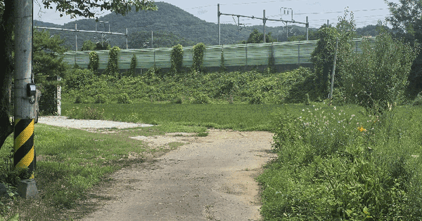 경기도 양평군 양평읍 원덕리 295-1  미지정 경매 물건 이미지