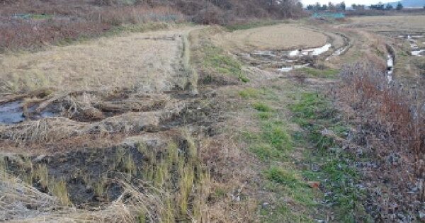 충청남도 서산시 대산읍 오지리 663 답 경매 물건 이미지