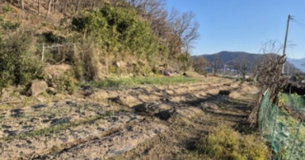 경상북도 경주시 산내면 신원리 1024 전 경매 물건 이미지