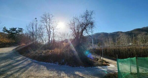 충청북도 영동군 용산면 신항리 396 전 경매 물건 이미지