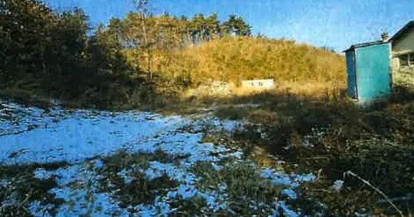 충청북도 청주시 상당구 남일면 신송리 518-6 임야 경매 물건 이미지
