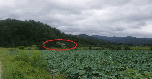 경상북도 청도군 이서면 신촌리 1114-1 전 경매 물건 이미지