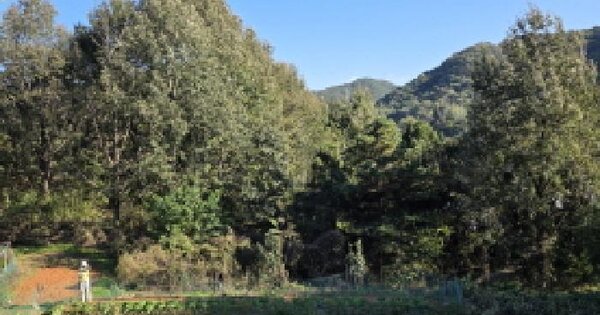 경상북도 성주군 선남면 명포리 820 전 경매 물건 이미지