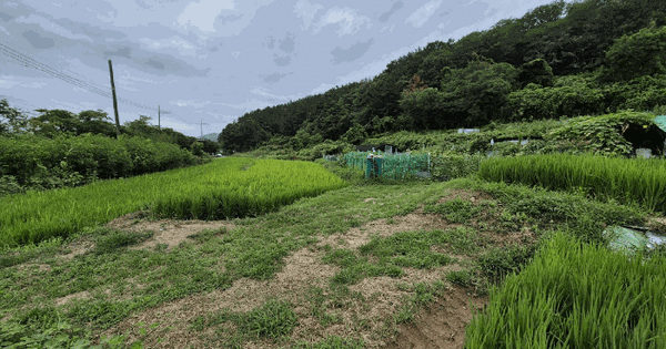 대구광역시 달성군 다사읍 이천리 44 전 경매 물건 이미지