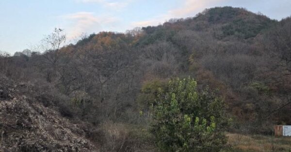 경상북도 성주군 수륜면 작은리 589 전 경매 물건 이미지