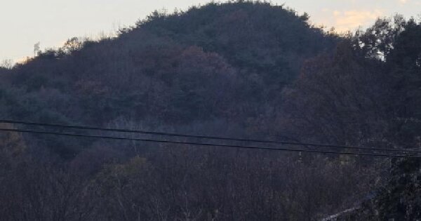 경상북도 성주군 수륜면 작은리 산145 임야 경매 물건 이미지