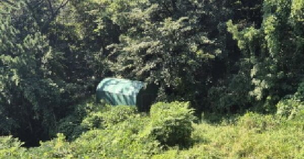 울산광역시 북구 정자동 361 전 경매 물건 이미지